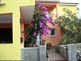 Apartmani Mirjana